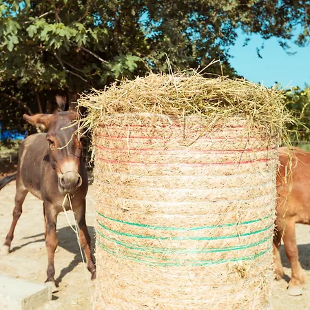 Séjour à la ferme Da Pudech *