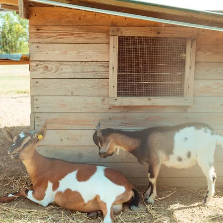 Séjour à la ferme Da Pudech