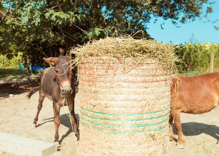 Séjour à la ferme Da Pudech *