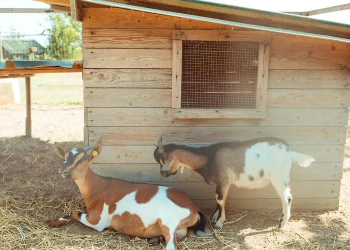 Séjour à la ferme Da Pudech