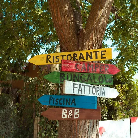 Da Pudech * Равенна