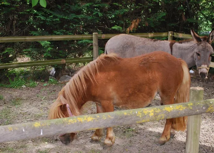 Da Pudech Alloggio per agriturismo *